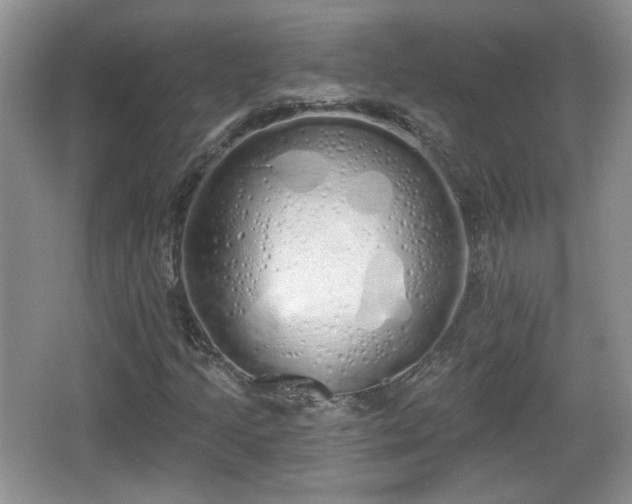 X0000067331205200604071316