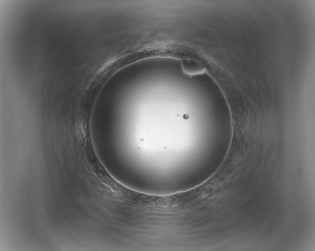 X0000067331206200604071316