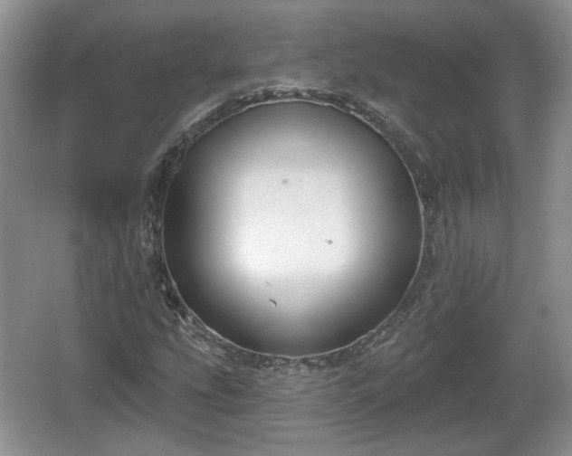 X0000067331207200604071316