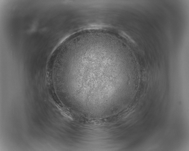 X0000067331208200604071316