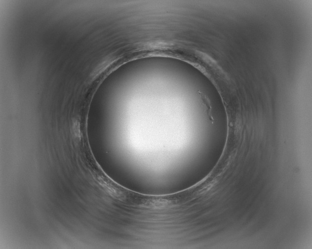 X0000067331209200604071316