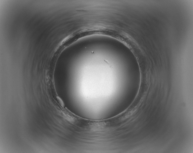 X0000067331210200604071316