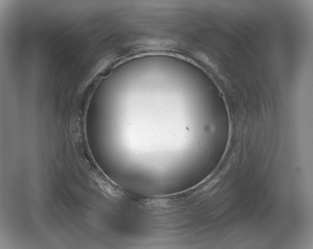 X0000067331211200604071316