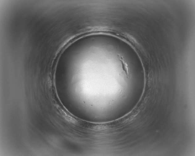 X0000067331212200604071316