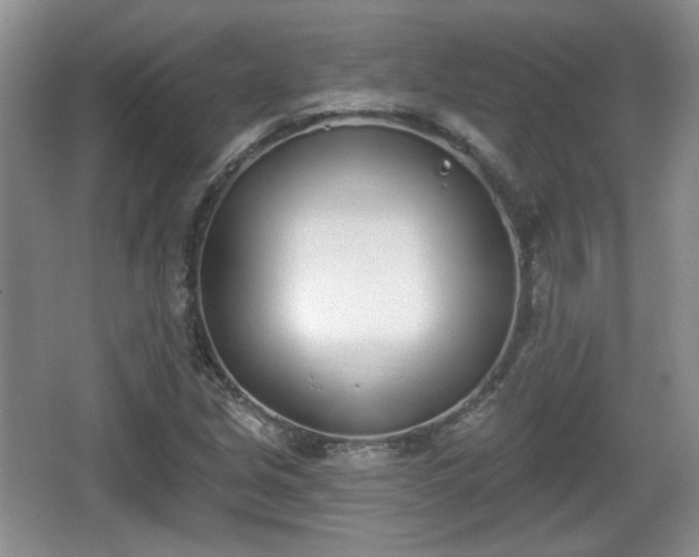 X0000067331213200604071316