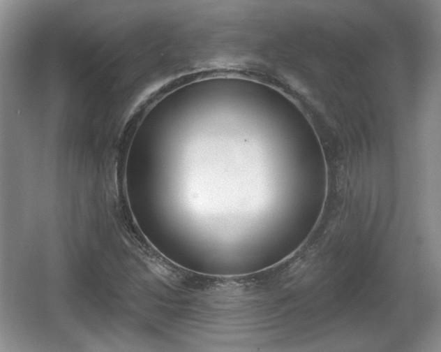 X0000067331214200604071316