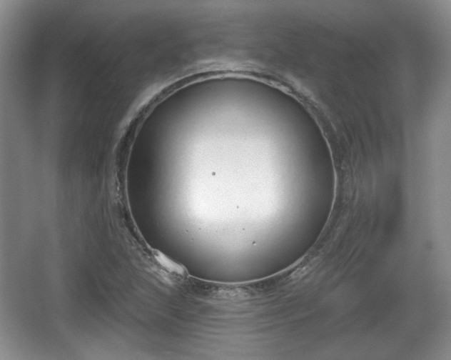 X0000067331215200604071316