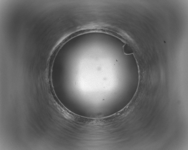 X0000067331216200604071316