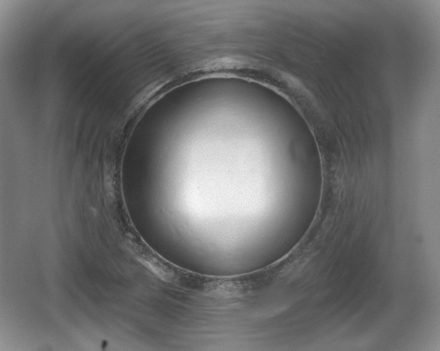 X0000067331217200604071316