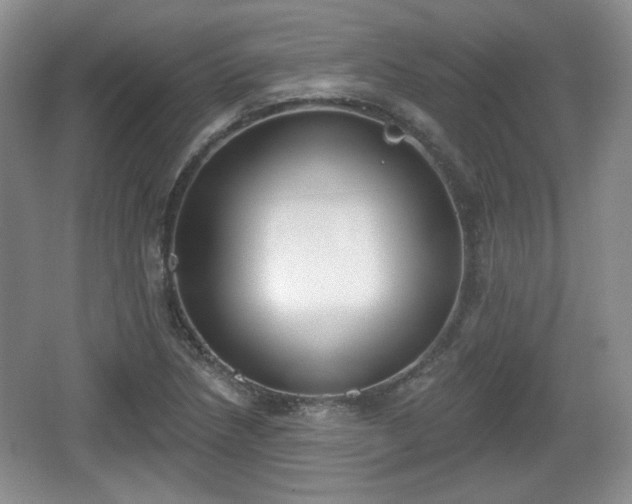 X0000067331218200604071316