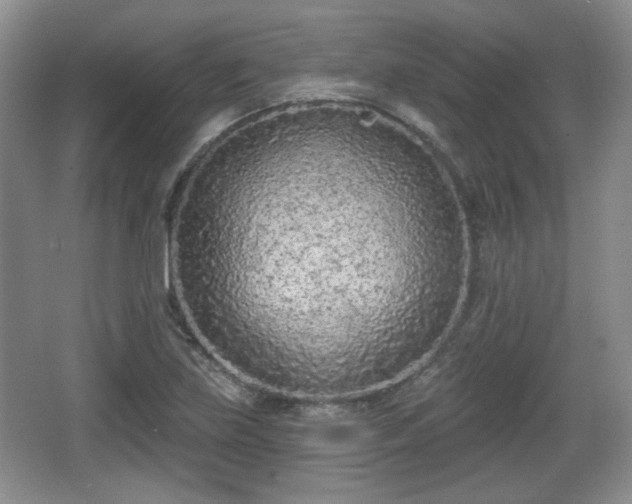 X0000067331219200604071316