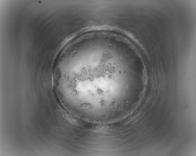 X0000067331221200604071316