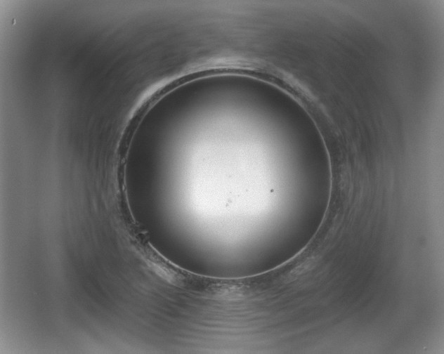 X0000067331222200604071316