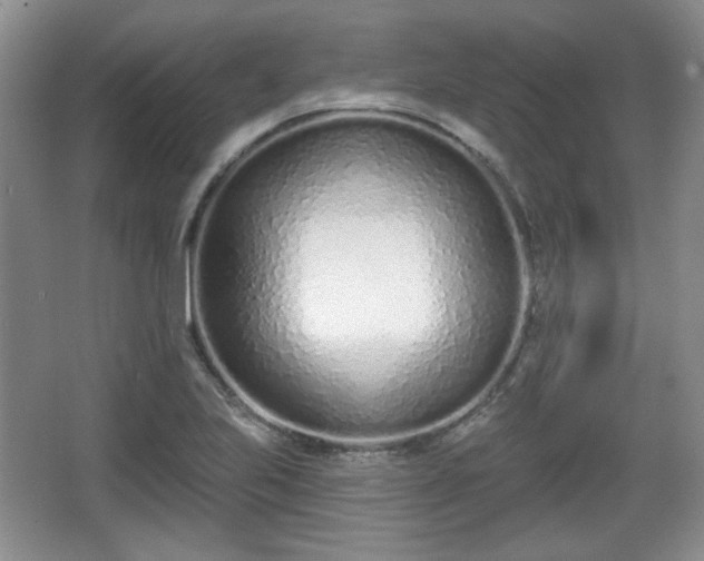 X0000067331223200604071316