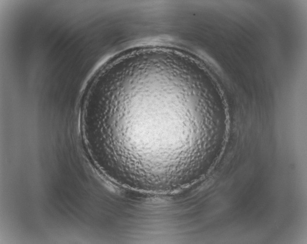 X0000067331224200604071317