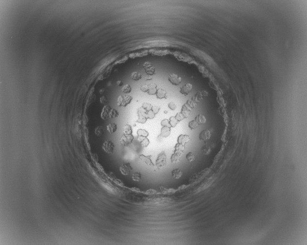 X0000067331225200604071317