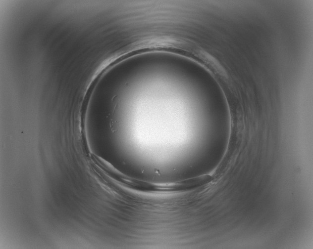 X0000067331226200604071317