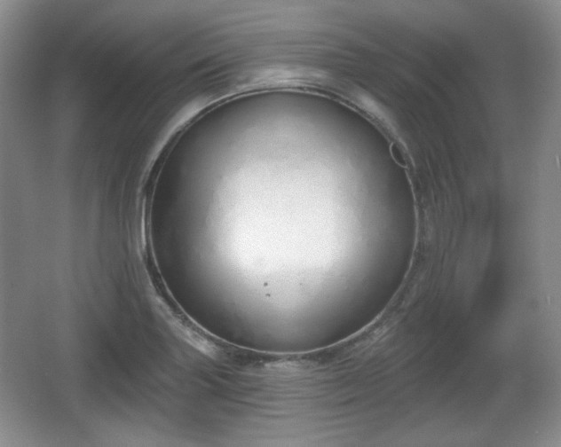 X0000067331227200604071317