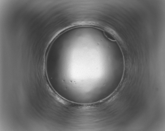 X0000067331228200604071317