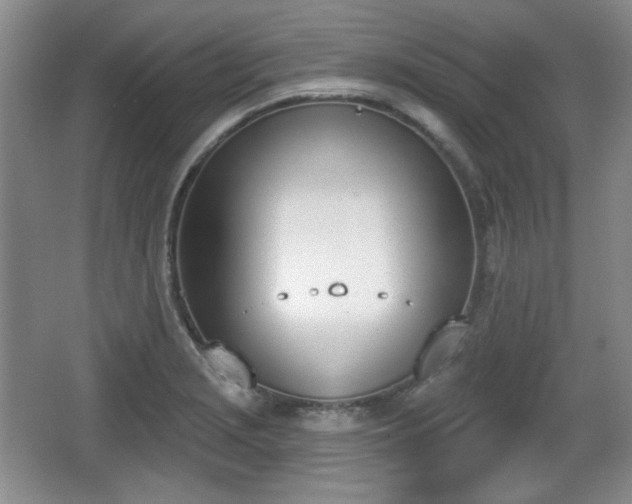 X0000067331229200604071317