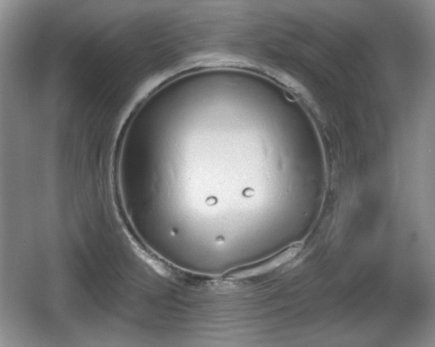 X0000067331231200604071317