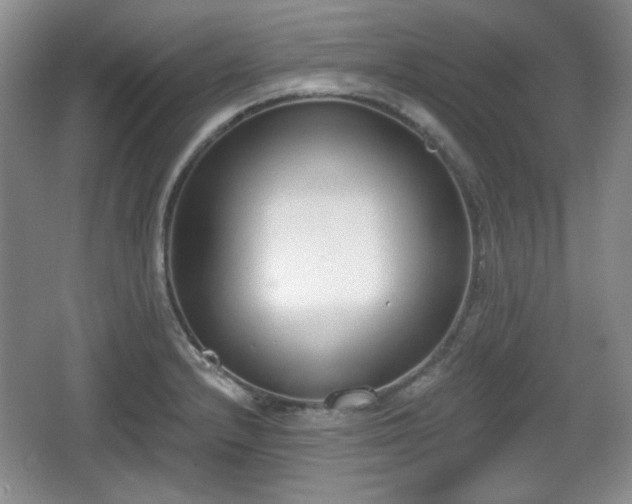 X0000067331232200604071317