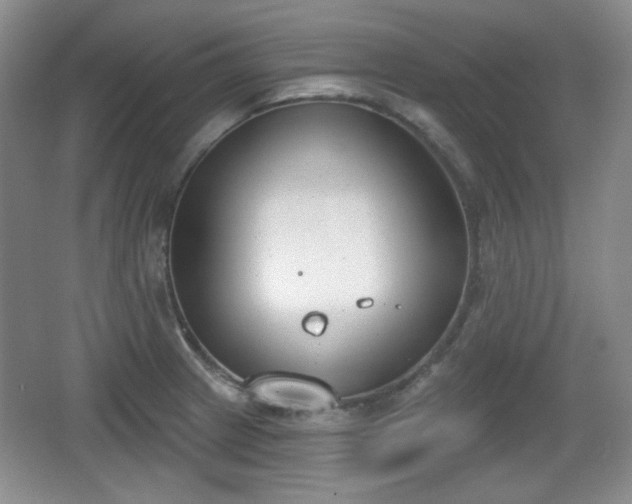 X0000067331233200604071317