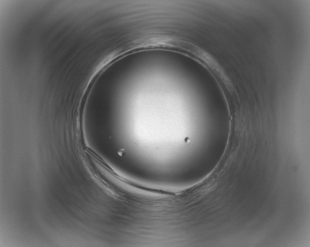 X0000067331234200604071317