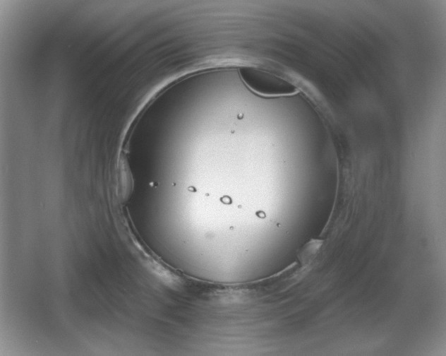 X0000067331236200604071317