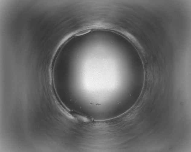 X0000067331238200604071317