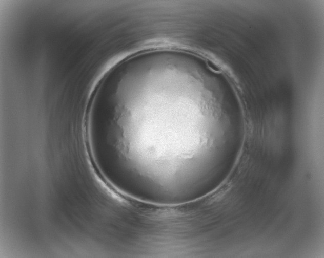 X0000067331239200604071317