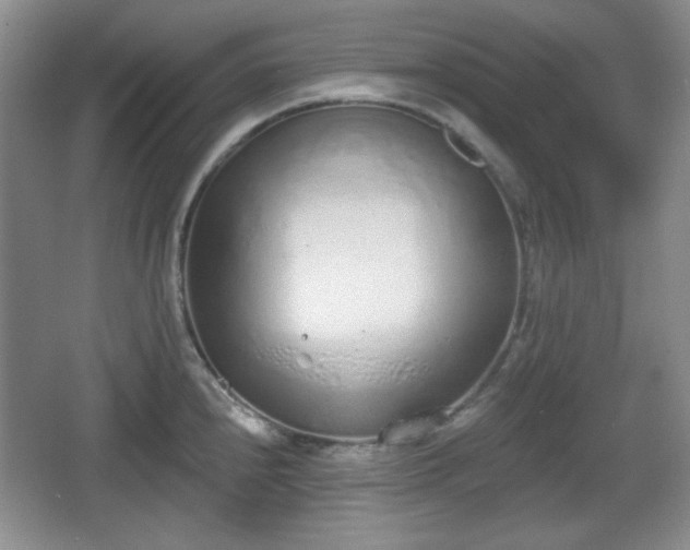 X0000067331240200604071317