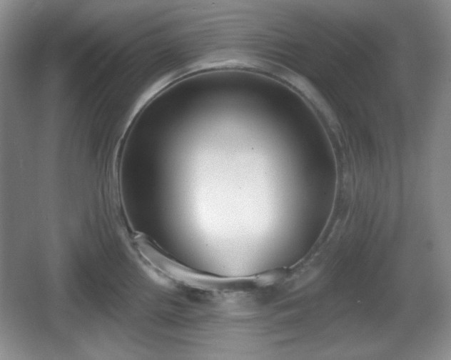 X0000067331242200604071317