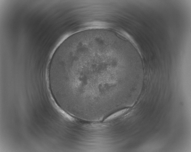 X0000067331243200604071317