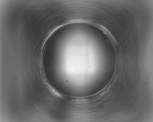 X0000067331244200604071317