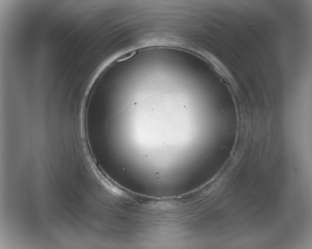 X0000067331246200604071317