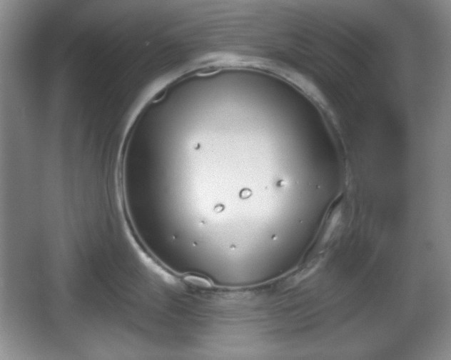 X0000067331247200604071317