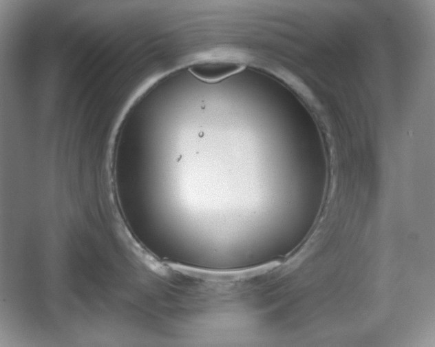 X0000067331248200604071317