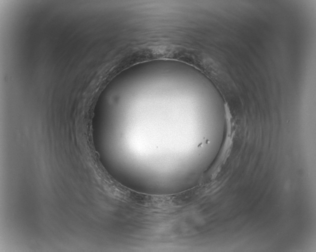 X0000067331249200604071316