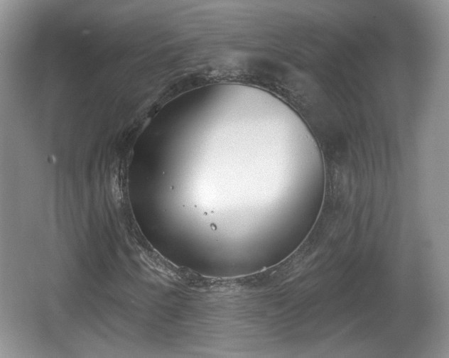 X0000067331250200604071316