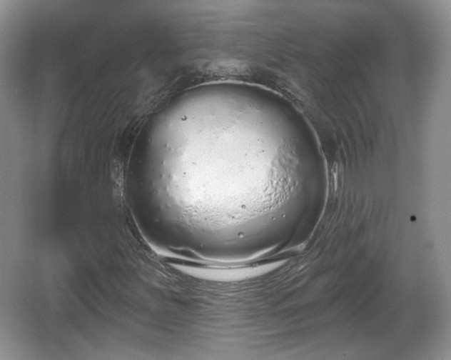 X0000067331251200604071316