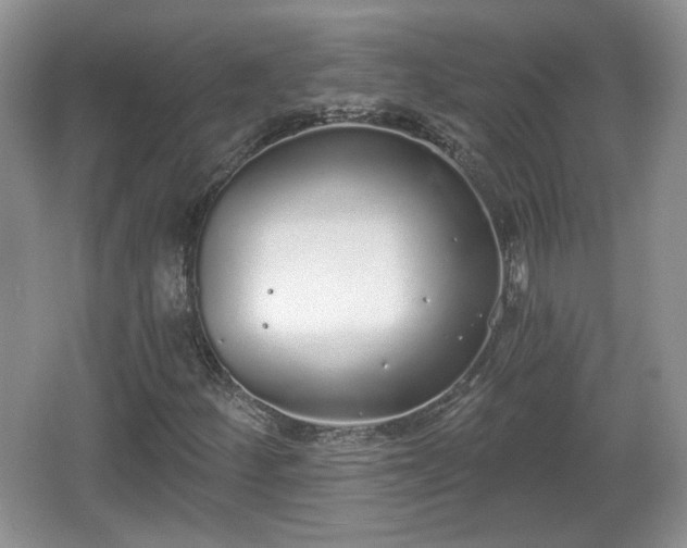 X0000067331252200604071316