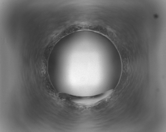 X0000067331253200604071316