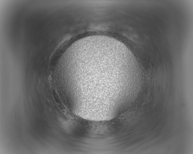 X0000067331254200604071316