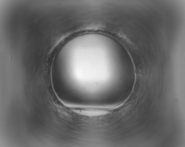 X0000067331256200604071316