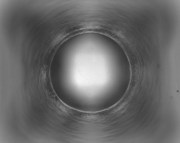 X0000067331257200604071316