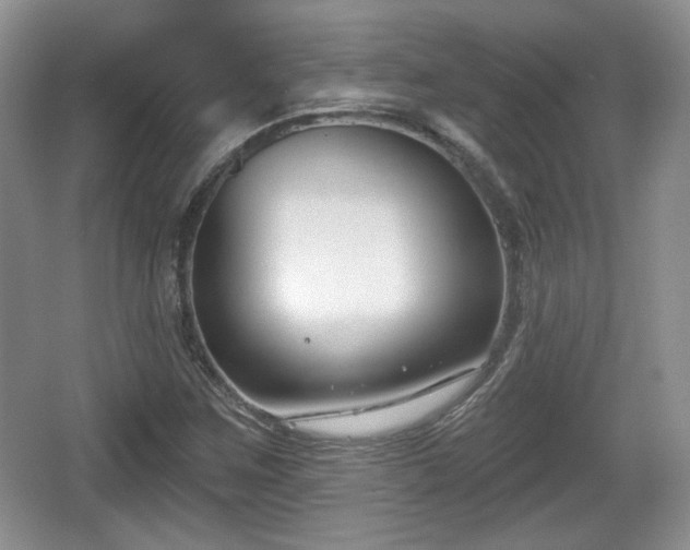 X0000067331259200604071316