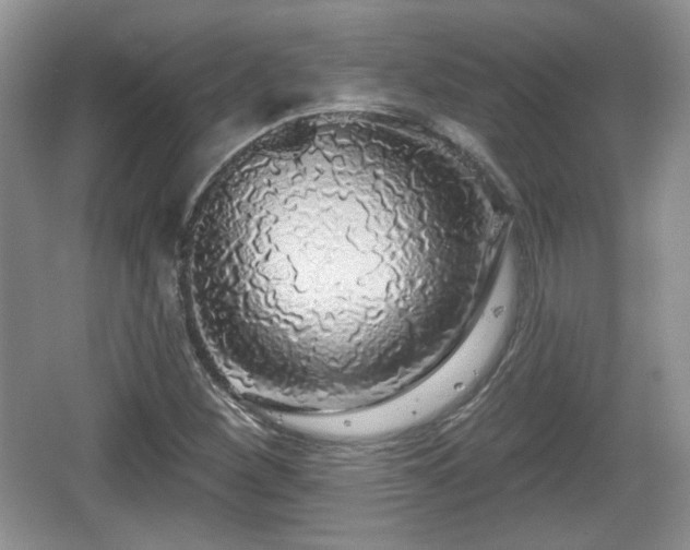 X0000067331260200604071316