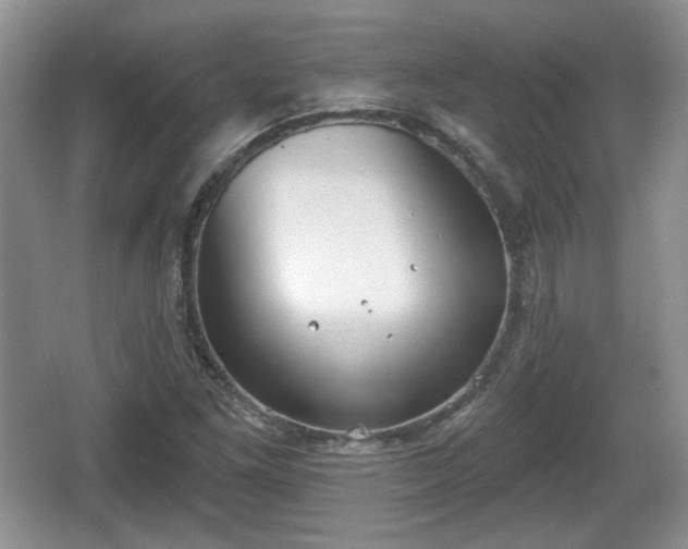 X0000067331261200604071316