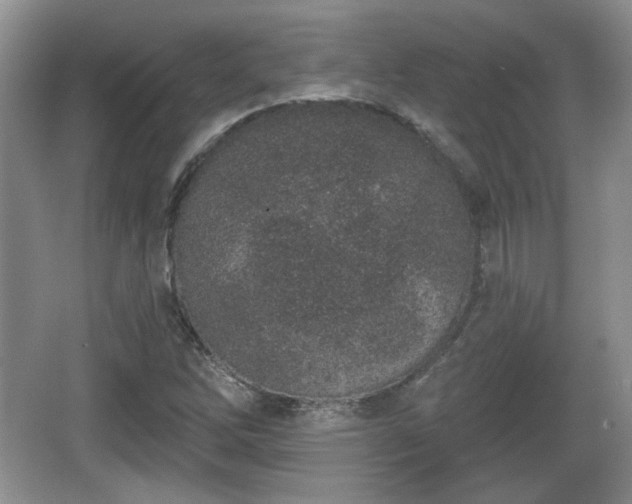 X0000067331262200604071316